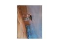 Kunststoffaquarium - Aquarien Zubeh�r - Bild 3