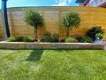 Kleine G�rten gestalten - Kleing�rten - Bild 1