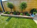 Kleine G�rten gestalten - Kleing�rten - Bild 2