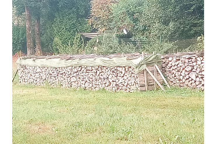Holz - Holzverarbeitung - Bild 1