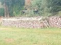 Holz - Holzverarbeitung - Bild 1
