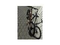 BMC Speedfox AMP Gr L Bronze - Elektro Fahrr�der (E-Bikes) - Bild 2