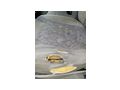 Renault Trafic Kas - Busse - Bild 7