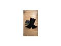 Getragene H�schen BHs Stiefel - Erotik Erotikshops & Erotikartikel - Bild 1
