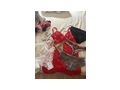 Getragene H�schen BHs Stiefel - Erotik Erotikshops & Erotikartikel - Bild 4