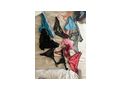 Getragene H�schen BHs Stiefel - Erotik Erotikshops & Erotikartikel - Bild 5