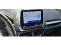 Ford EcoSport - Autos Ford - Bild 9