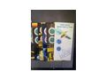 Niob M�nzen - Schilling - Bild 3