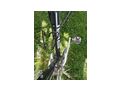 Rennrad 28 Zoll 30 Gang Shimano Ultegra - Rennr�der & Triathlonr�der - Bild 3