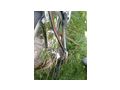 Rennrad 28 Zoll 30 Gang Shimano Ultegra - Rennr�der & Triathlonr�der - Bild 8