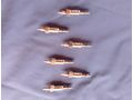 6 Gl�hkerzen VW LT 28 35 - Motorteile & Zubeh�r - Bild 2