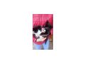 Babykatzen - Mischlingskatzen - Bild 2