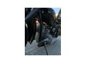 Motorrad Dnepr MT 11 Baujahr 1989 - Dnepr - Bild 6