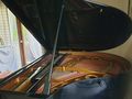 gut erhaltener Fl�gel Stingl - Klaviere & Pianos - Bild 2