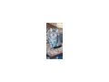 Zuhause gesucht - Mischlingskatzen - Bild 2