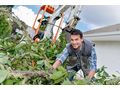 Gartenpflege Dienstleistungen Haus Garten - Gartendekoraktion - Bild 2