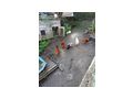6 St�ck H�hne abzugeben - H�hner & Puten - Bild 3