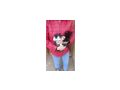 Babykatzen - Mischlingskatzen - Bild 4