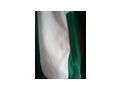 SK Rapid Wien Adidas Jacke Gr M - Gr��en 48-50 / M - Bild 2