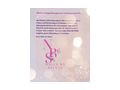 Nageldesign - Sch�nheit & Wohlbefinden - Bild 11