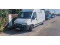 Fiat Ducato - Wohnmobile & Campingbusse - Bild 1