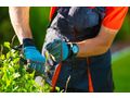 Gartenpflege Wien Umgebung - Gartendekoraktion - Bild 1
