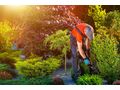 Gartenpflege Wien Umgebung - Gartendekoraktion - Bild 2