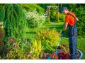 Gartenpflege Wien Umgebung - Gartendekoraktion - Bild 5