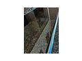 Chrome Couchtisch 1 15 Meter Rauchglas - Couchtische - Bild 2