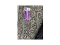 Orient Teppich 250cm � 345cm Prado Orient - Teppiche - Bild 4