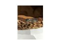Echter Pelzmantel Gr��e M - Gr��en 40-42 / M - Bild 9