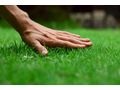 Qualitative Gartenpflege Ihr Landschaftsg�rtner - Gartendekoraktion - Bild 4