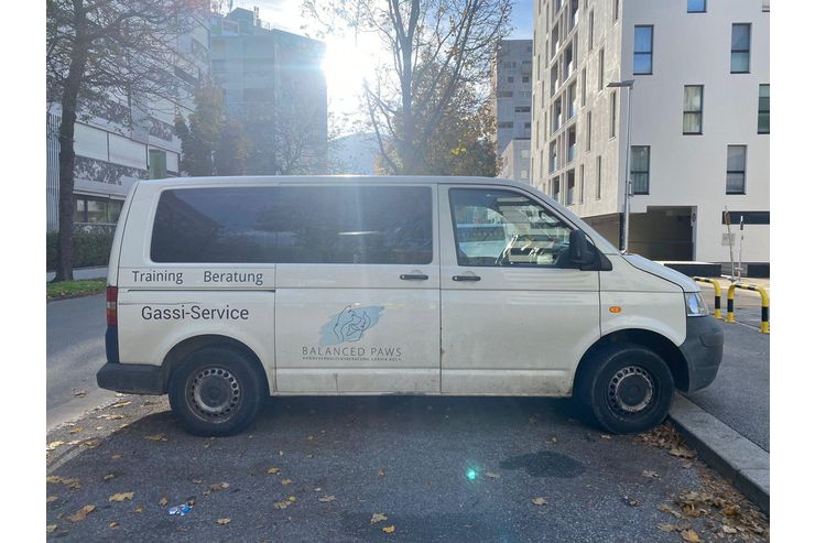 VW T5 - Autos VW - Bild 1