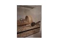 W�stenrennm�use Gehege - M�use & Ratten - Bild 2