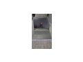 ASUS ROG Strix SCAR 18 Gaming Laptop - Notebooks & Netbooks - Bild 1