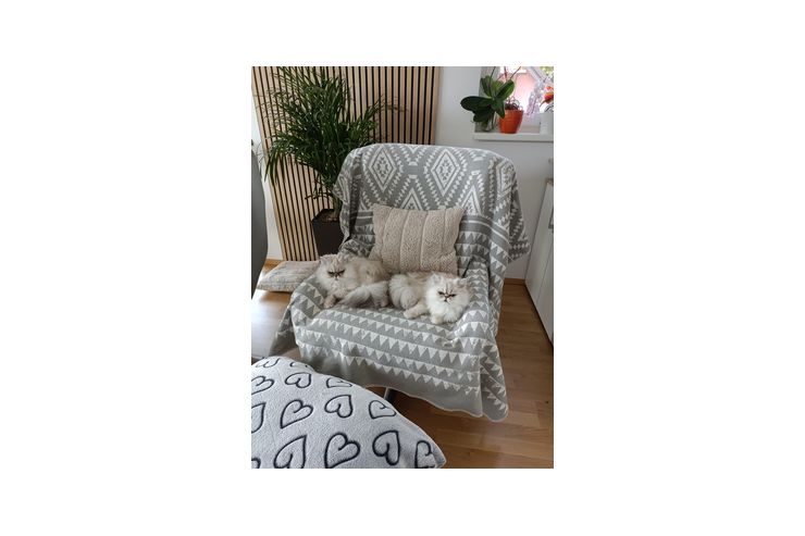2 Relaxsessel Hocker - Sofas & Sitzm�bel - Bild 1