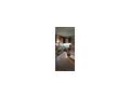 Haus Rande Kiskunf�legyh�za Ungarn - Wohnung kaufen - Bild 4