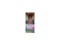 Haus Rande Kiskunf�legyh�za Ungarn - Wohnung kaufen - Bild 2