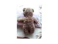 Teddyb�r 5355 26 Steiff Sehr guter Zustand - Spielwaren - Bild 2