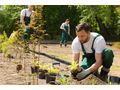 Reinigung Garten Anpflanzung - Gartendekoraktion - Bild 1