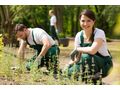 Reinigung Garten Anpflanzung - Gartendekoraktion - Bild 2