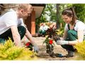 Reinigung Garten Anpflanzung - Gartendekoraktion - Bild 3
