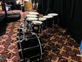 Premier Signia Maple Drums Ebenholz Schwarz - Schlaginstrumente - Bild 5