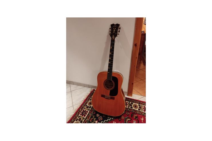 Levin Gitarre - Gitarren (akustisch) - Bild 1