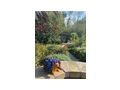 Liebevolles Haus N�he Balaton - Haus kaufen - Bild 16