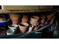 Blumen�bert�pfe - Pflanzen - Bild 1