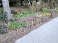 In G�blasbruck Ort B 20 - Sie sucht Ihn - Bild 3