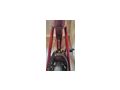 Trek Madone SLR Gen 6 - Rennr�der & Triathlonr�der - Bild 2