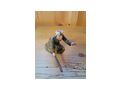 Orientalische Krippenfiguren Peter Ingruber - Figuren - Bild 11