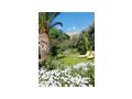 Evas Gartenstudio Lesvos Molivos Griechenland - Griechenland - Bild 5